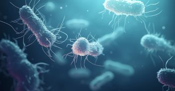 polmonite-morte-peppe-vessicchio