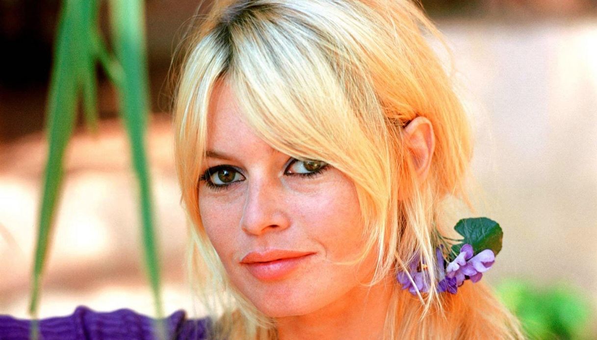 https://wips.plug.it/cips/notizie.virgilio.it/cms/2025/12/brigitte-bardot-funerale.jpg