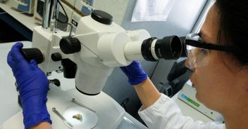 donatore-di-sperma-cancro-scoperta