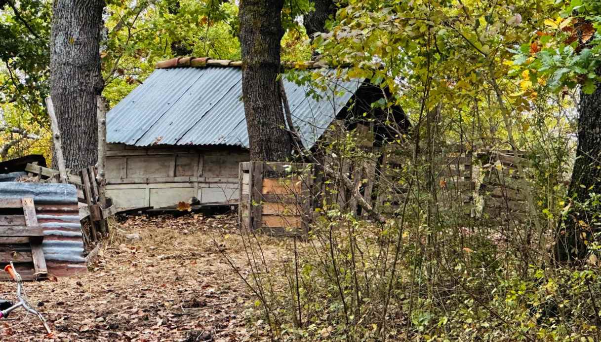 famiglia nel bosco Al Bano