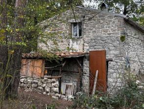 Famiglia nel bosco, i dubbi del sindaco di Palmoli sull'attività social della madre: 