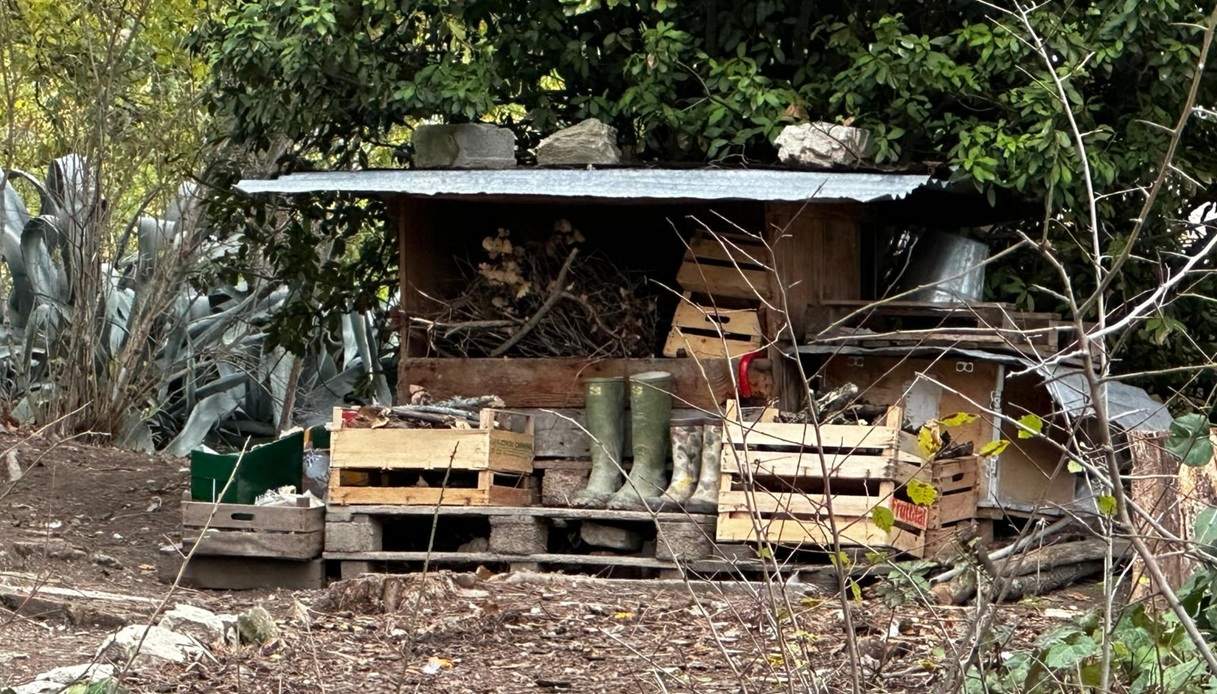 Famiglia nel bosco, il casolare