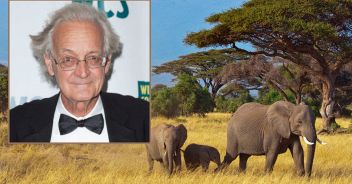 iain douglas hamilton elefanti africa