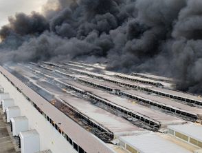 Incendio al Terminal Puglia di Rugliano vicino Bari con fiamme a 10 metri, l'ordinanza: 