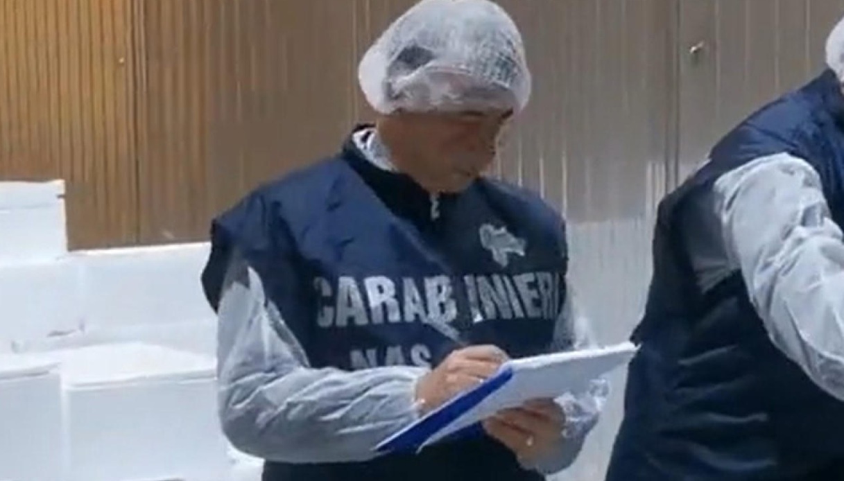 sequestrati 1000 kg di alimenti pericolosi a reggio calabria e inflitte maxi multe cosa hanno scoperto i nas