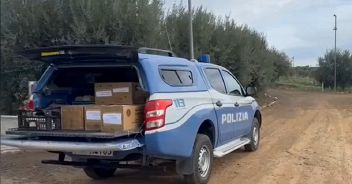 polizia-fuochi-artificio