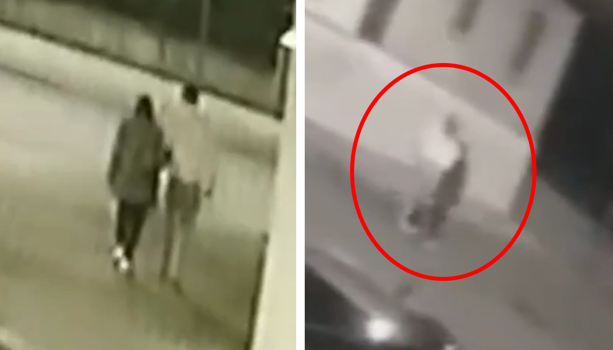 i video di tatiana tramacere e dragos gheormescu a nard242 prima della scomparsa e il gatto galeotto