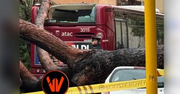 albero caduto roma autobus