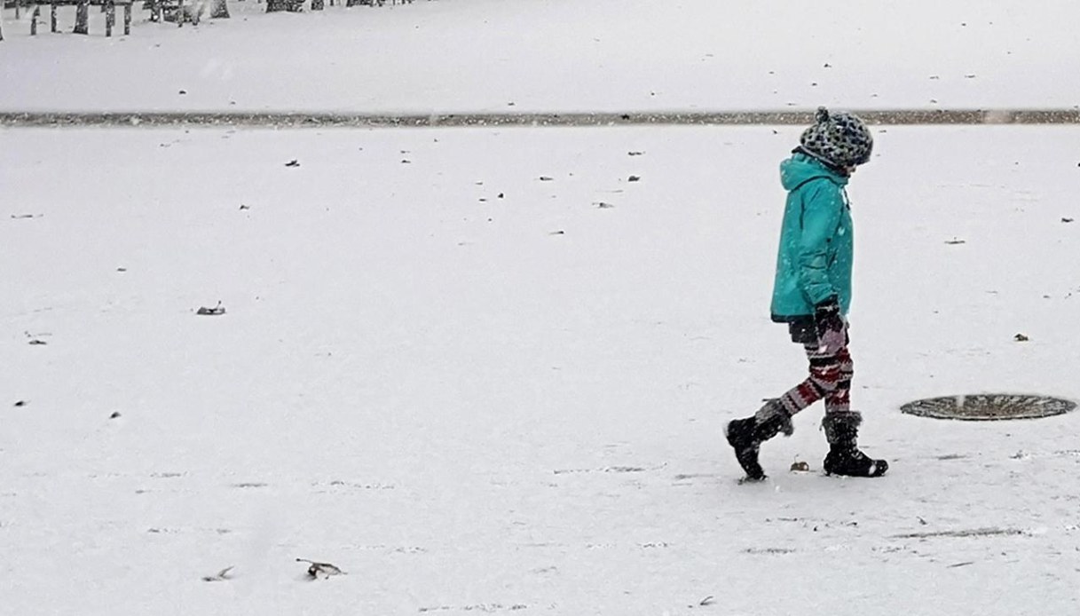 Autista del bus lascia a piedi 11enne a Vodo, 6 km a piedi sotto la neve: "Sta ancora male", famiglia querela Autista del bus lascia a piedi 11enne a Vodo, 6 km a piedi sotto la neve: "Sta ancora male", famiglia querela
