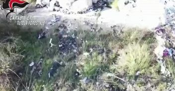 video_sh1827880.jpg