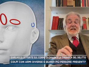 Garlasco, secondo il medico legale Giuseppe Fortuni 