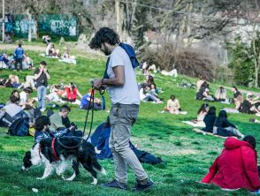 Vortice Polare in indebolimento, possibile split a marzo: cos'è e che impatto può avere sull'Italia