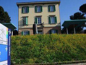 Bambina di 5 anni investita a Prato da un'auto, è grave: sarebbe sfuggita al controllo della madre