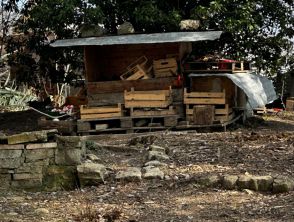 Famiglia nel bosco, casa ristrutturata con materiali sostenibili e naturali: parla l'architetta