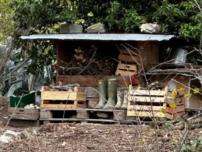 Famiglia nel bosco, nelle carte le accuse a Catherine e il nervosismo dei figli: 