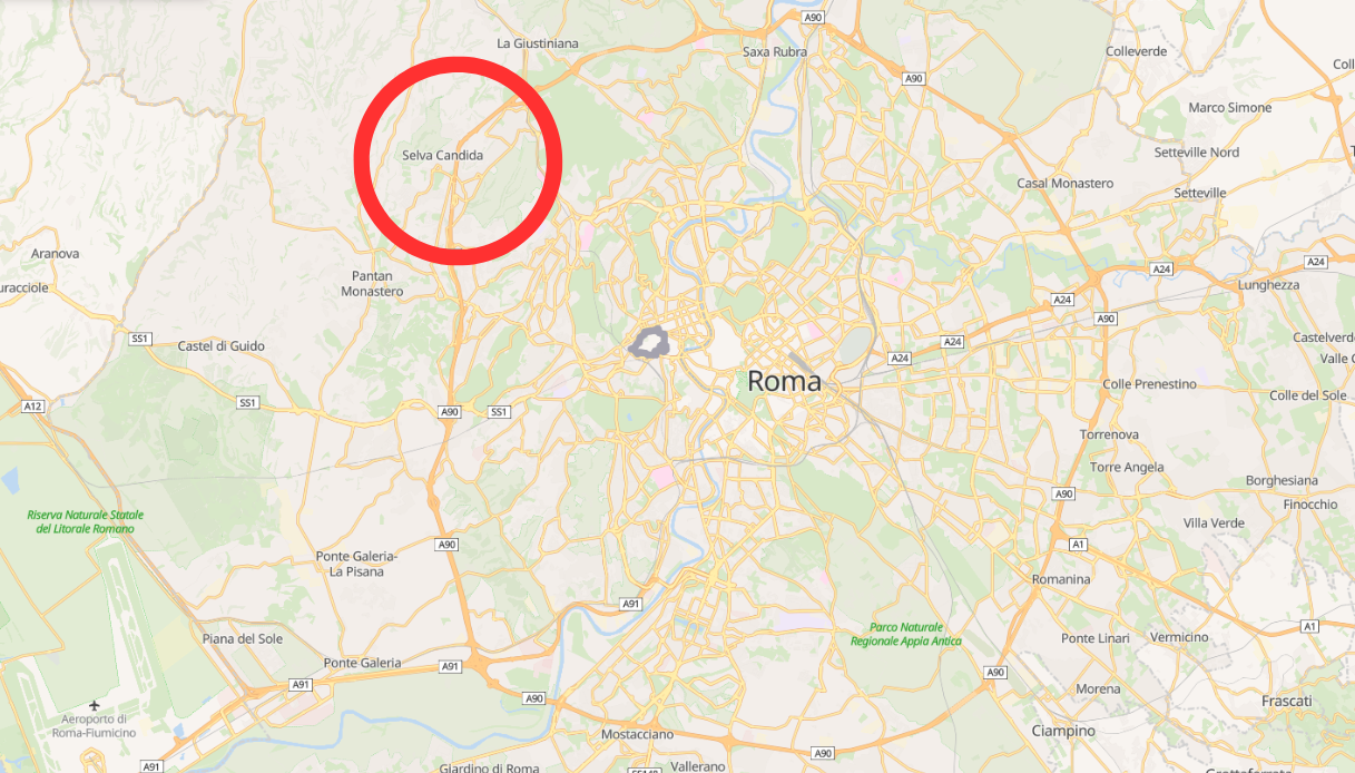 Motociclista di 19 anni si schianta con la moto contro un palo a ...