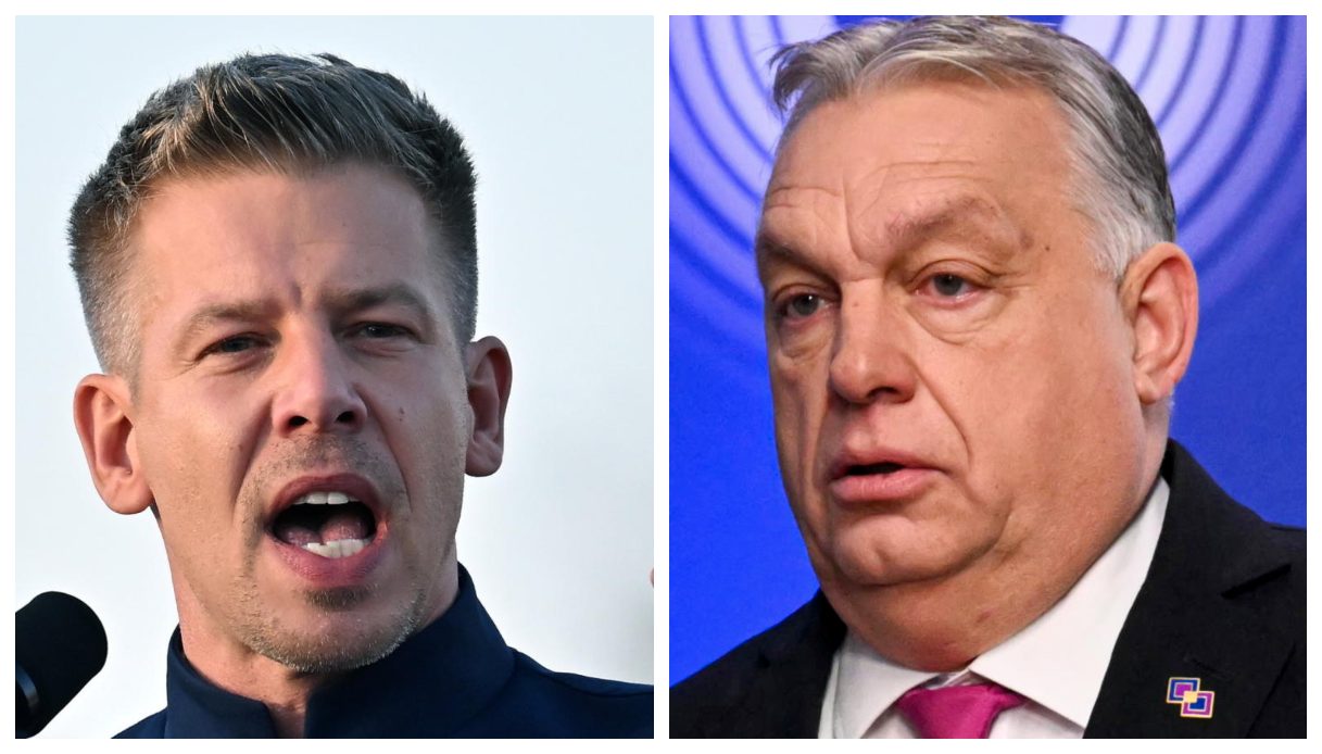 elezioni ungheria l ue tifa peter magyar chi 232 il rivale di viktor orban che un tempo era nel suo partito da Virgilio.it elezioni ungheria l ue tifa peter magyar chi 232 il rivale di viktor orban che un tempo era nel suo partito