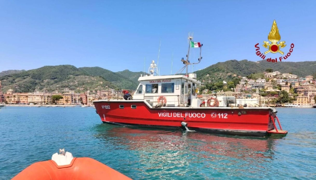 https://wips.plug.it/cips/notizie.virgilio.it/cms/2026/05/api-barca-rapallo-sciame-velista-salvataggio.jpg