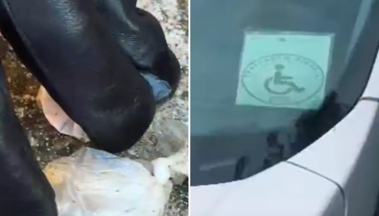 https://wips.plug.it/cips/notizie.virgilio.it/cms/2026/05/droga-roma-furgoni.jpg