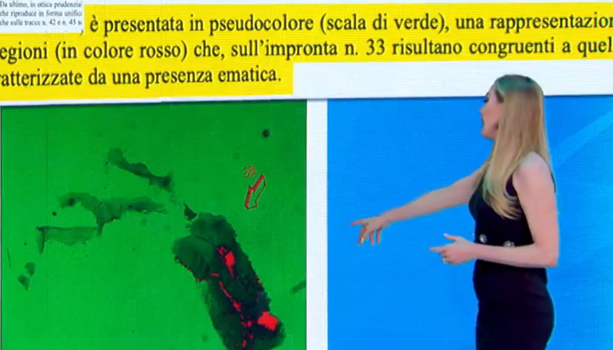 https://wips.plug.it/cips/notizie.virgilio.it/cms/2026/05/garlasco-impronta-33-sangue-consulenza-oscar-ghizzoni.jpg