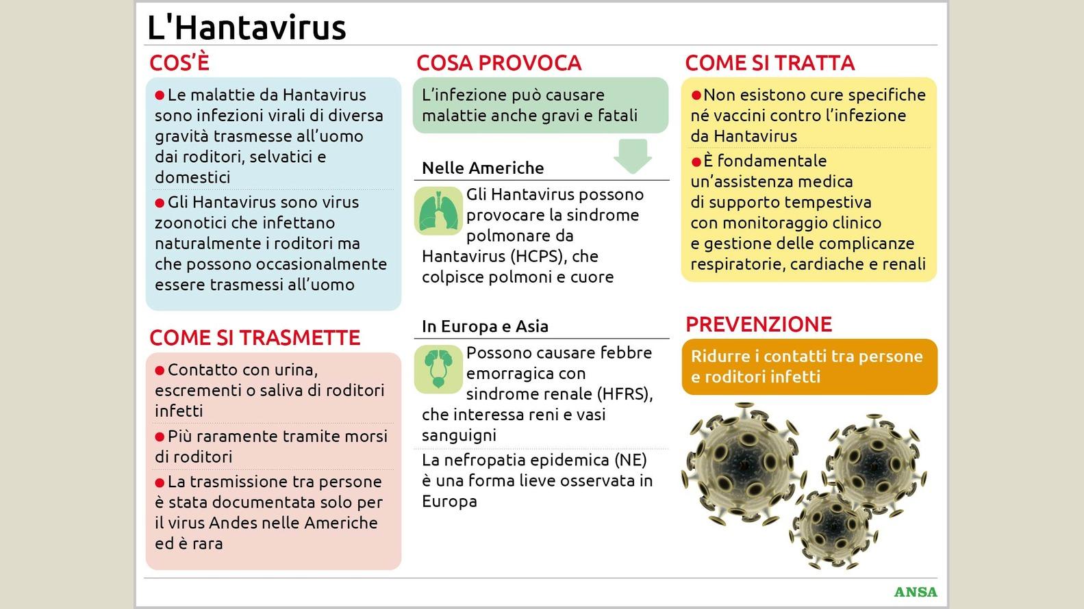 https://wips.plug.it/cips/notizie.virgilio.it/cms/2026/05/lhantavirus134x100_16x9.jpg
