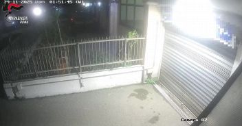 video_bc6395301611112.jpg