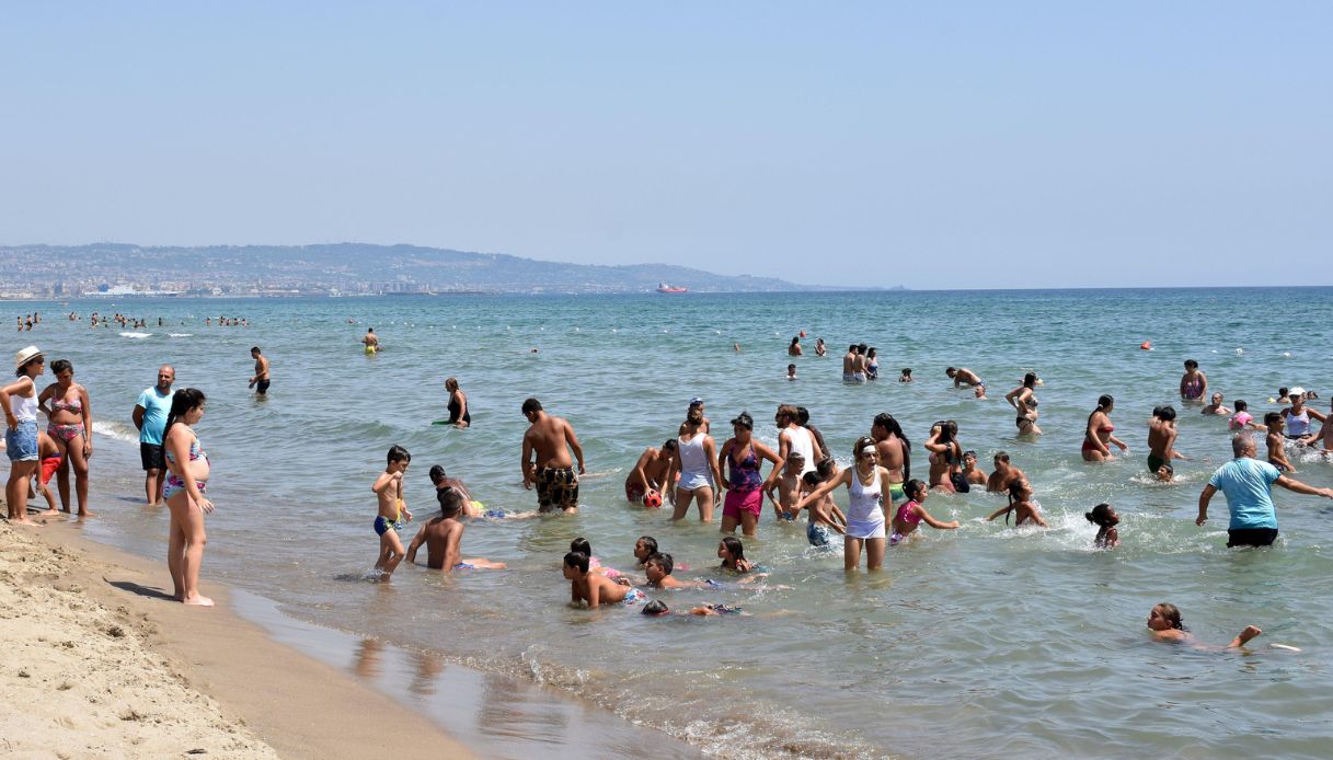 https://wips.plug.it/cips/notizie.virgilio.it/cms/2026/06/batterio-vibrio-rischi.jpg