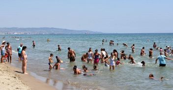 batterio vibrio rischi