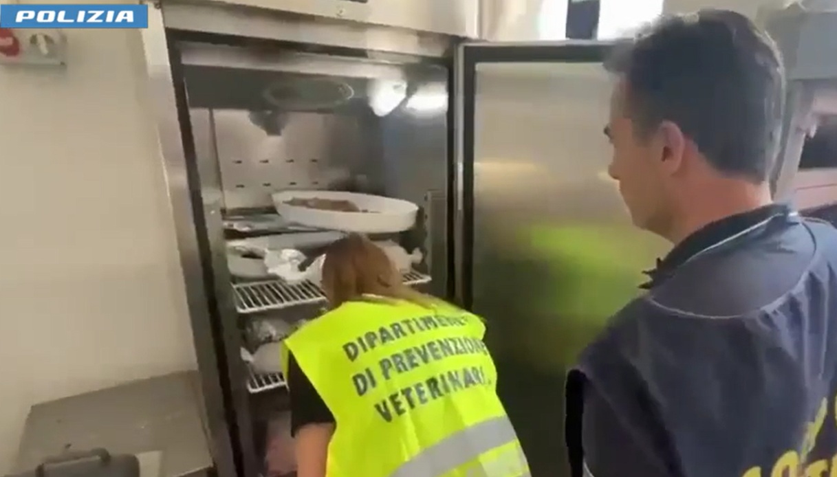 task force in un bar a catania sequestrati 150 kg di cibo e maxi multa il video del controllo da Virgilio.it task force in un bar a catania sequestrati 150 kg di cibo e maxi multa il video del controllo