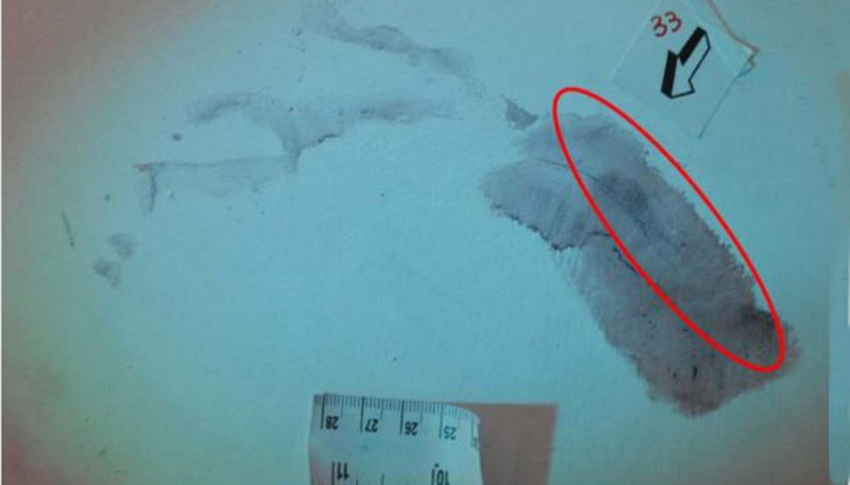 garlasco un carabiniere presente sul luogo del delitto parla dell impronta 33 faceva senso da Virgilio.it garlasco un carabiniere presente sul luogo del delitto parla dell impronta 33 faceva senso