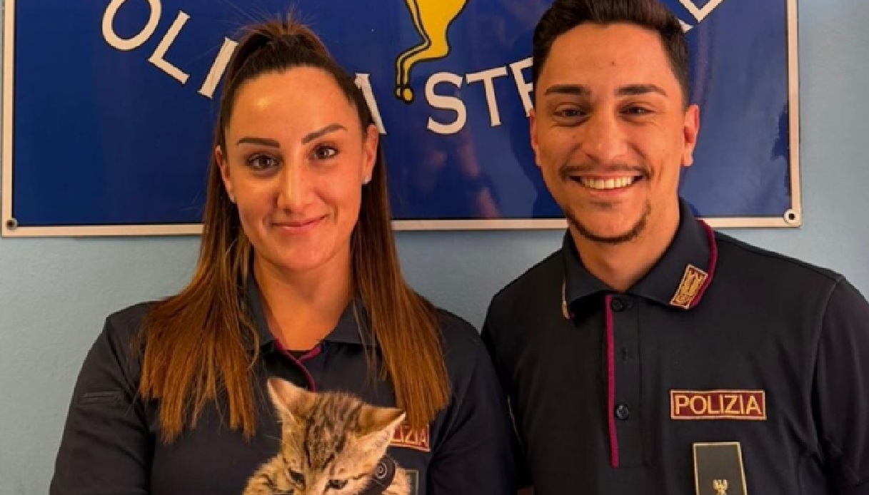 Cucciolo di gatto salvato sull'A13 a Bologna, come la polizia è riuscita ad acciuffare il felino