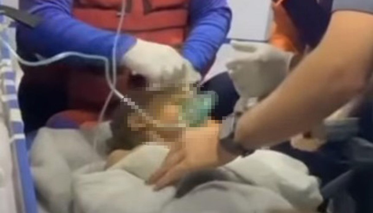 https://wips.plug.it/cips/notizie.virgilio.it/cms/2026/06/terremoto-venezuela-bambino.jpg