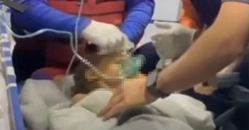 terremoto venezuela bambino