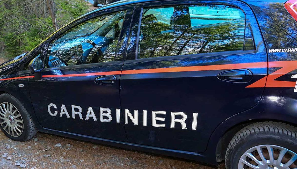 a venezia 17enne uccide la zia e lancia il cadavere nel fiume la confessione e il movente dell omicidio da Virgilio.it a venezia 17enne uccide la zia e lancia il cadavere nel fiume la confessione e il movente dell omicidio