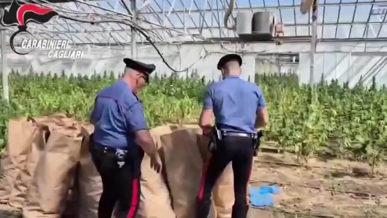 https://wips.plug.it/cips/notizie.virgilio.it/cms/2026/06/video_bc6397881481112.jpg