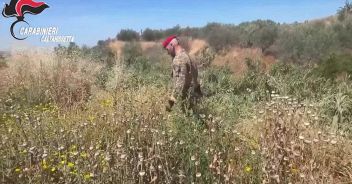 video_bc6397960196112.jpg