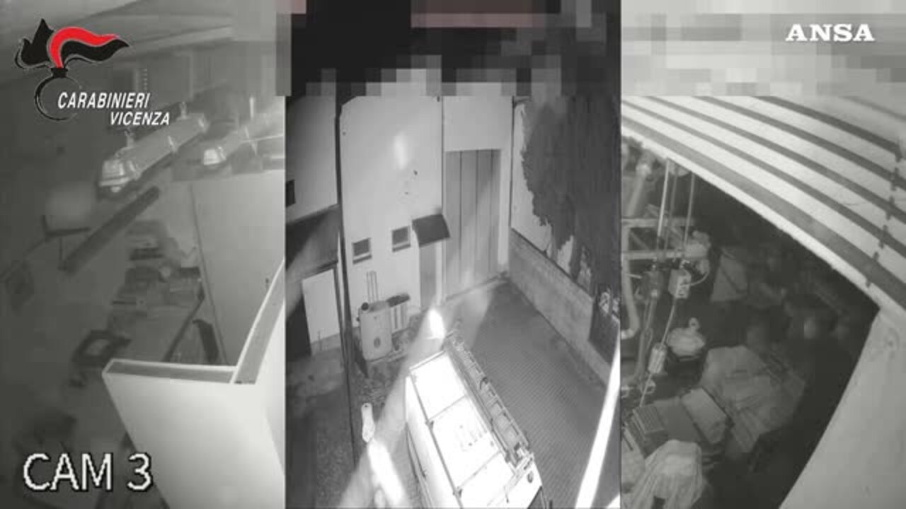 cos236 razziavano aziende orafe con tecniche sofisticate tre arresti e mezzo milione di euro recuperati da Virgilio.it cos236 razziavano aziende orafe con tecniche sofisticate tre arresti e mezzo milione di euro recuperati