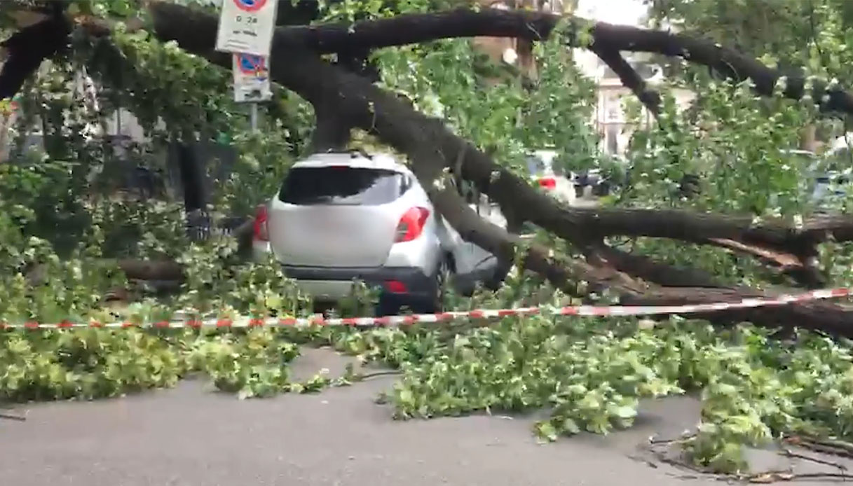 Allerta per temporali violenti a Milano, caduti i primi alberi nei piazzali Axum e Libia: colpite alcune auto