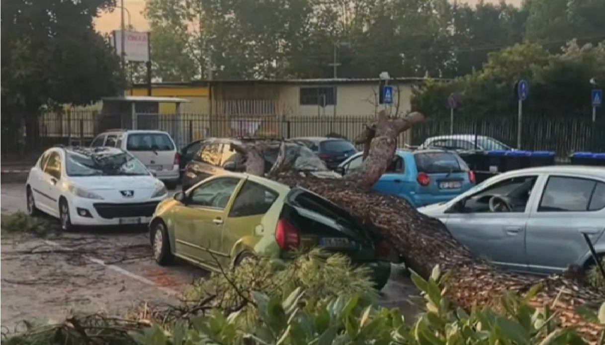 albero caduto ad acerra in via paganini danni a 5 auto l ipotesi del crollo causato dal maltempo da Virgilio.it albero caduto ad acerra in via paganini danni a 5 auto l ipotesi del crollo causato dal maltempo