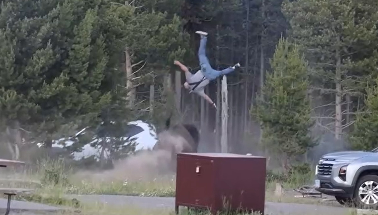 terrore a yellowstone il video del bisonte infuriato che scaraventa un turista in aria da Virgilio.it terrore a yellowstone il video del bisonte infuriato che scaraventa un turista in aria