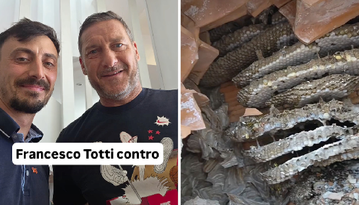 https://wips.plug.it/cips/notizie.virgilio.it/cms/2026/07/francesco-totti-vespe.jpg