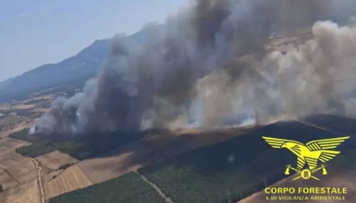 https://wips.plug.it/cips/notizie.virgilio.it/cms/2026/07/incendio-aeroporto-olbia.jpg