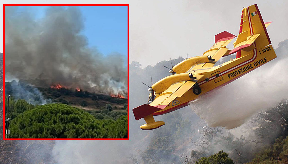 Incendio a Vieste nella pineta in zona Caravella vicino al lungomare Europa e a un hotel
