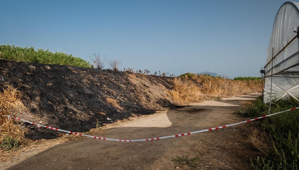 omicidio del giornalista luigi esposito a eboli uomo fermato dai carabinieri era nascosto in un casolare da Virgilio.it omicidio del giornalista luigi esposito a eboli uomo fermato dai carabinieri era nascosto in un casolare