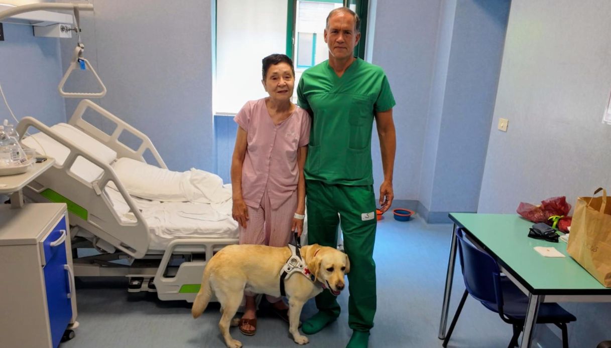 autotrapianto all occhio a torino cos 232 l operazione mai svolta prima che ha ridato la vista a una donna da Virgilio.it autotrapianto all occhio a torino cos 232 l operazione mai svolta prima che ha ridato la vista a una donna