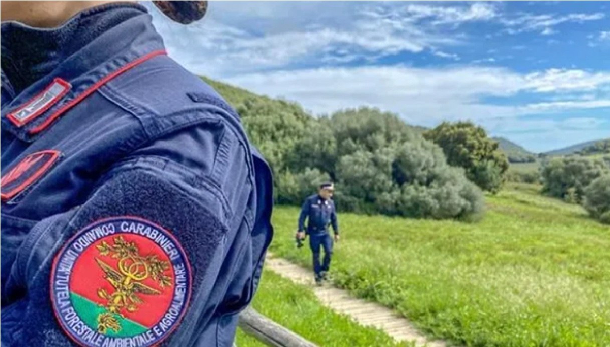 Sequestrati a Palermo oltre 100 uccelli esotici tenuti tra sporcizia e degrado, allevatore nei guai