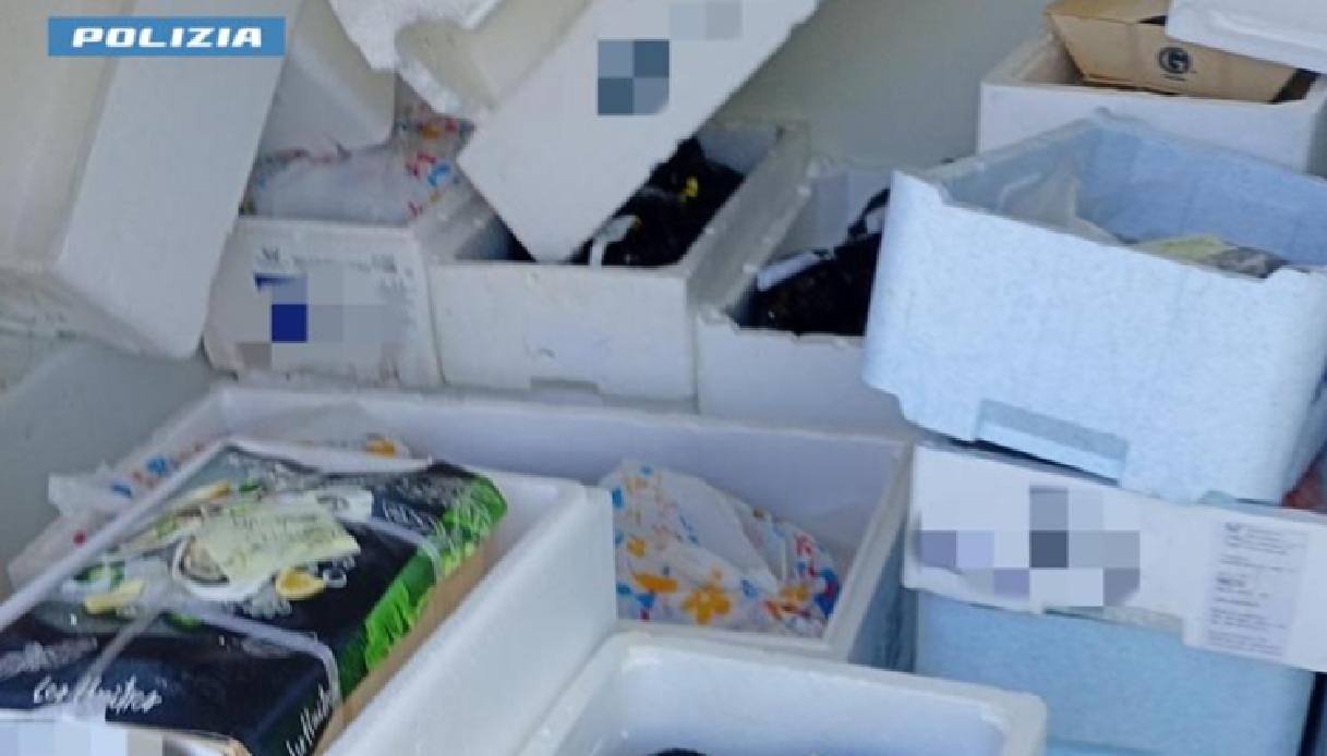 brescia sequestrati 130 kg di alimenti non idonei al consumo distrutti tortellini carne pesce e pane da Virgilio.it brescia sequestrati 130 kg di alimenti non idonei al consumo distrutti tortellini carne pesce e pane