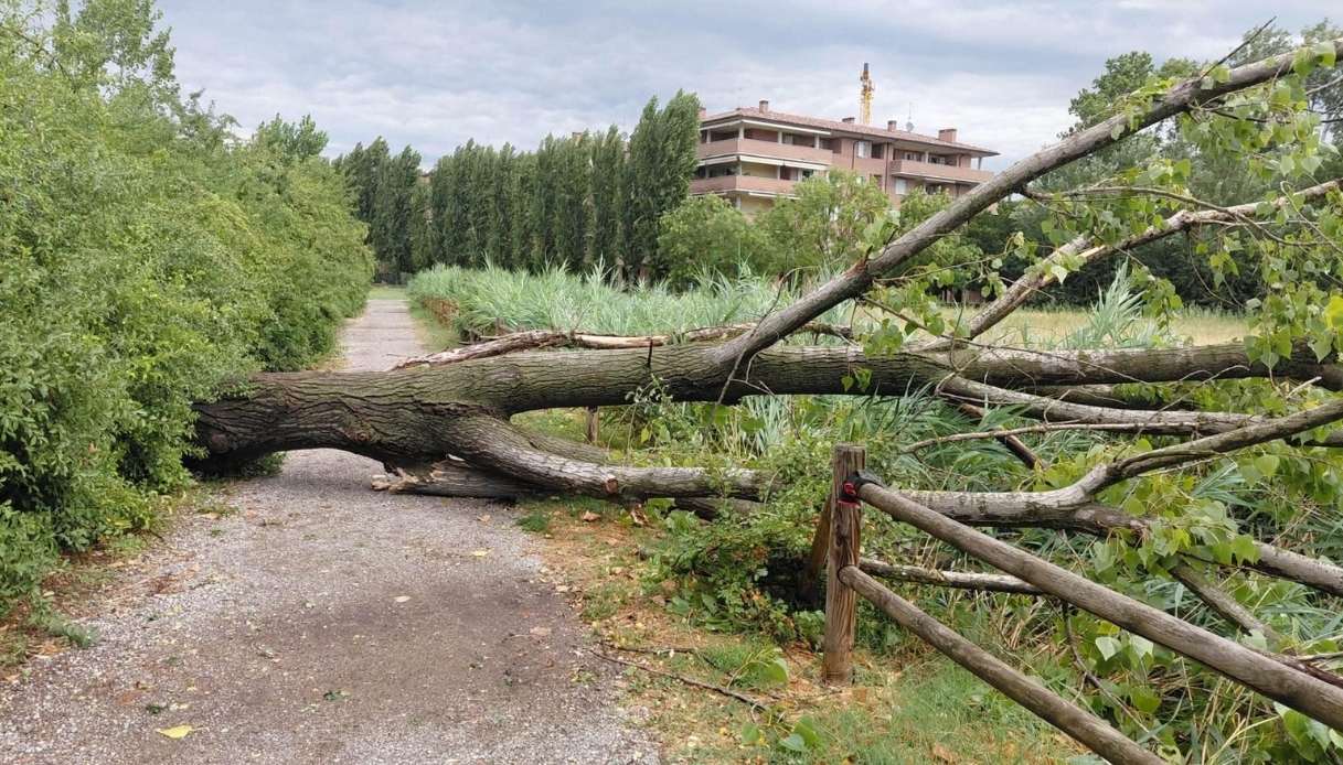 forte temporale in emilia romagna allerta maltempo per raffiche di vento oltre 100 chilometri orari da Virgilio.it forte temporale in emilia romagna allerta maltempo per raffiche di vento oltre 100 chilometri orari
