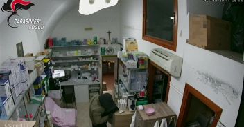 video_bc6400867609112.jpg