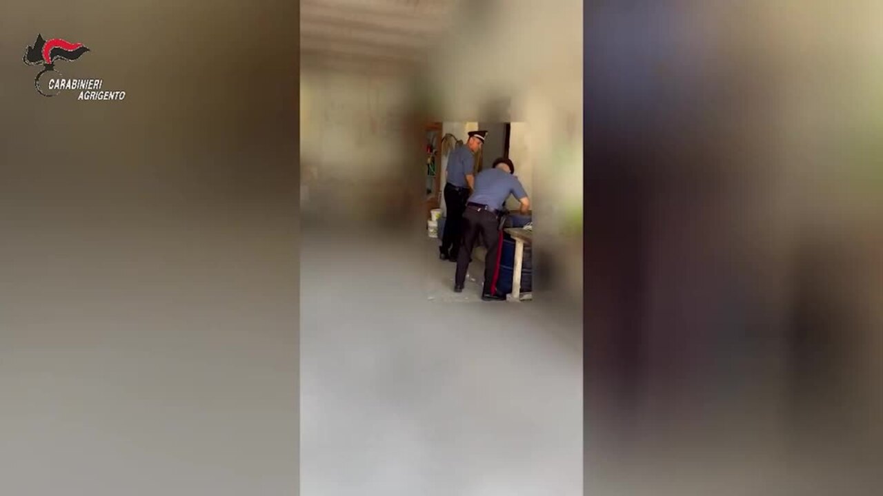 https://wips.plug.it/cips/notizie.virgilio.it/cms/2026/07/video_bc6401121723112.jpg